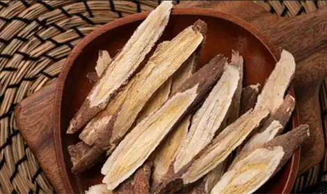 The Role of Astragalus Extract Powder in Traditional Chinese Medicine